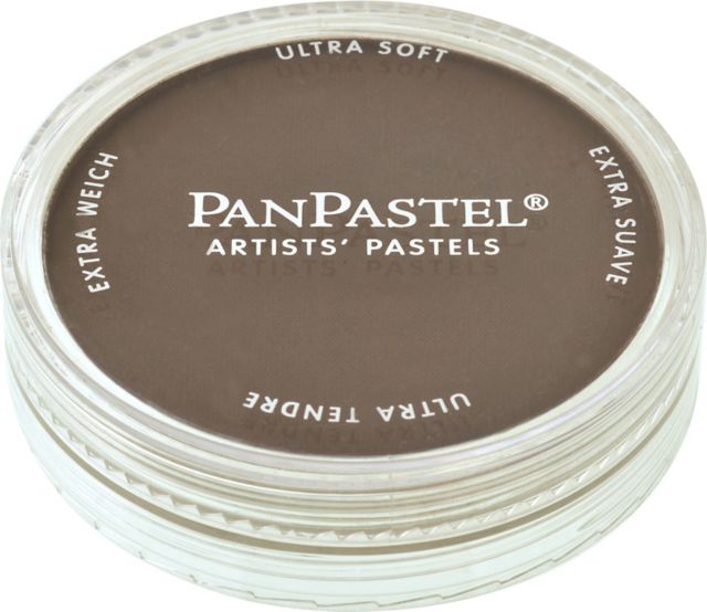 PANPASTEL 9ML RAW UMBER SHADE