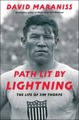 Path Lit By Lightning
